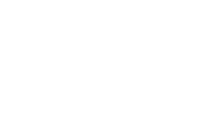 The Patience Spirit Co logo